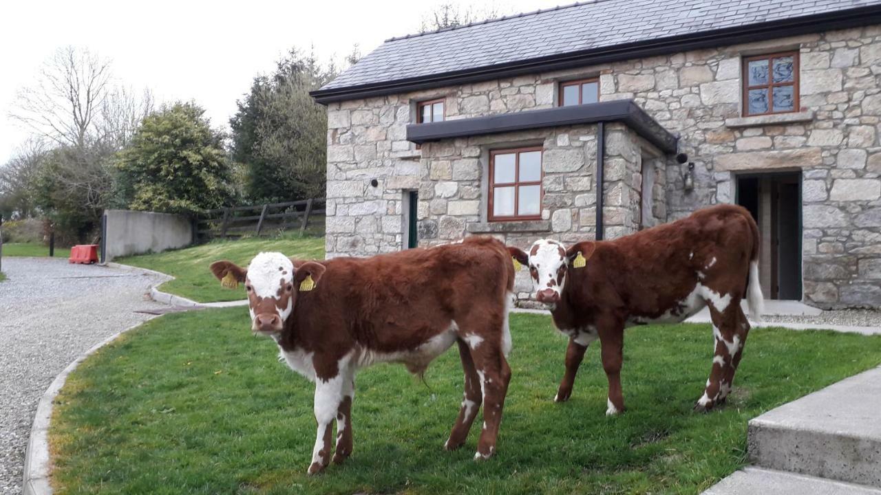 Green Adventure Ecohostel Clonmore 外观 照片